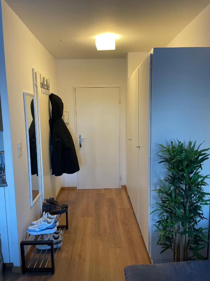 Suncatcher Studio Берн Екстер'єр фото